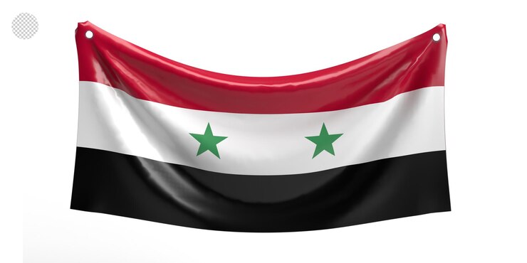 PSD bandera siria