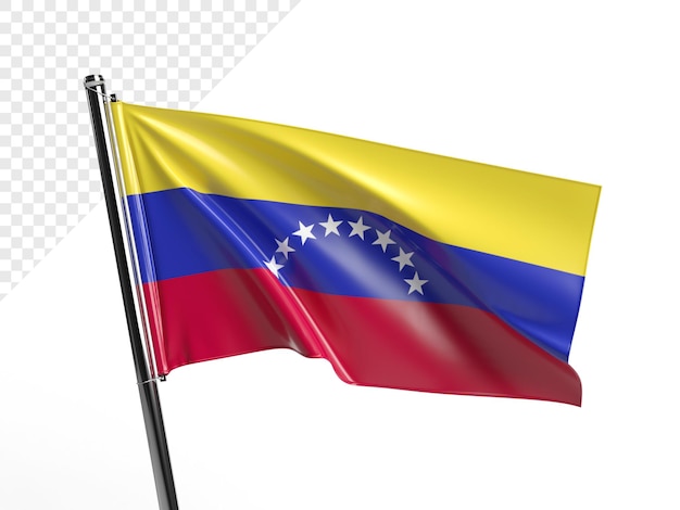 PSD bandera venezolana