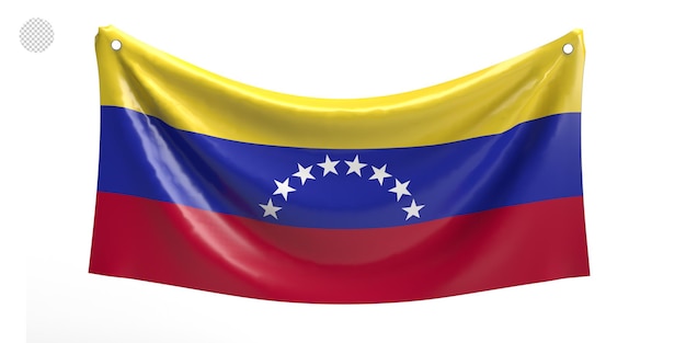 PSD bandera de venezuela