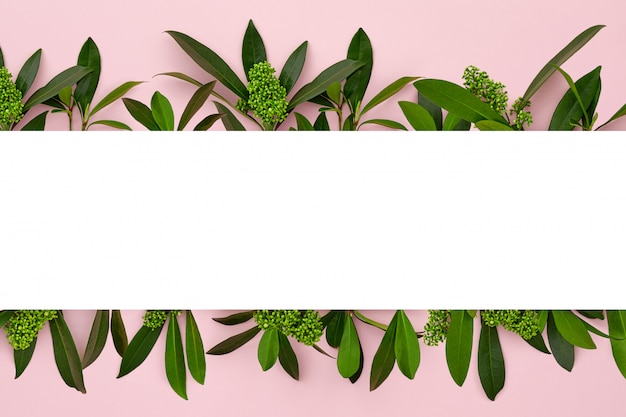 Banner mit grünen Blättern auf rosa Pastellhintergrund.