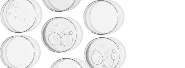 PSD banner rectangular con placas de petri investigación de laboratorio aislada de moléculas y bacreria y virus se puede pegar en su fondo