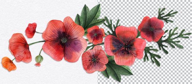 Banner con viñeta floral de papaver amapola. acuarela dibujada a mano arte botánico