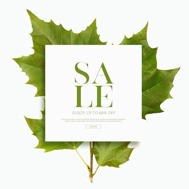 Bannière ou carte de vente d'automne