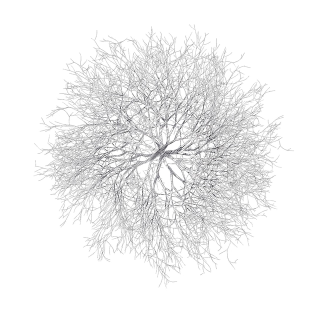bare cherry tree drawing isolated transparent background