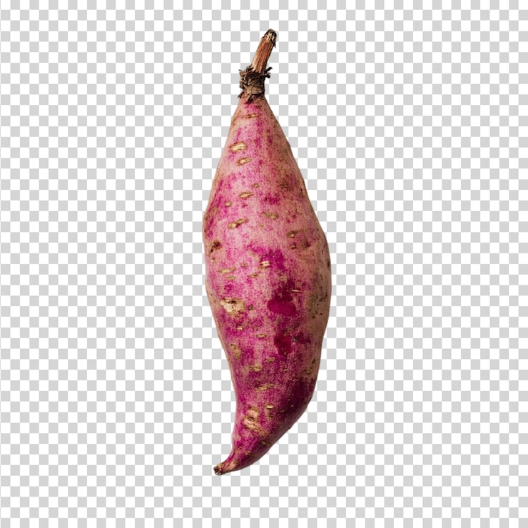 PSD batata-doce isolada sobre um fundo transparente