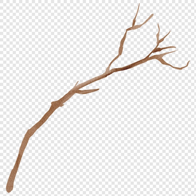 PSD bâton branche d'arbre isolé png clipart bois brindille