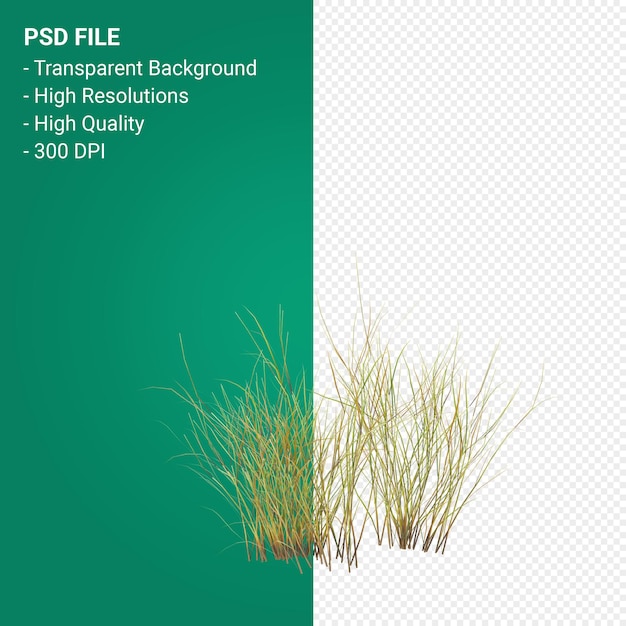 PSD baum 3d render isoliert