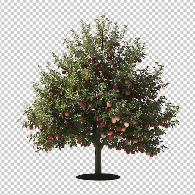 Baum mit durchsichtigen Äpfeln im Hintergrund