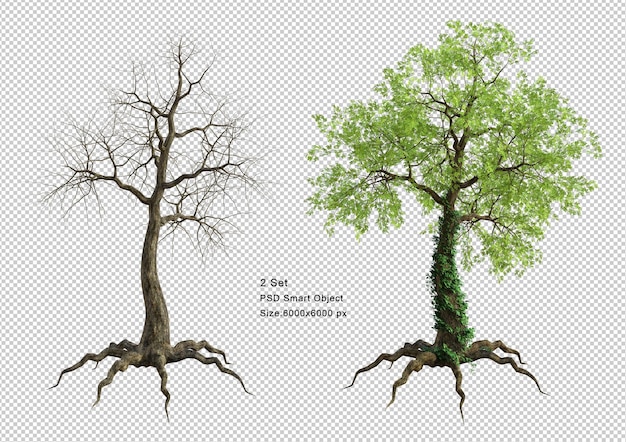 PSD baum und toter baum isoliert 3d-render