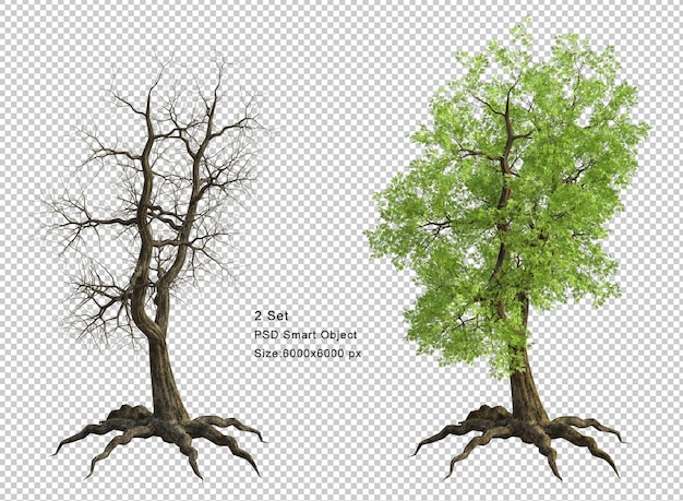 Baum und toter Baum isoliert 3D-Render