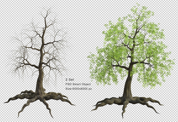 PSD baum und toter baum isoliert 3d-render