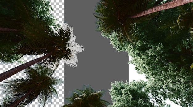 Baumblatt auf durchsichtigem Hintergrund PNG 3D-Rendering