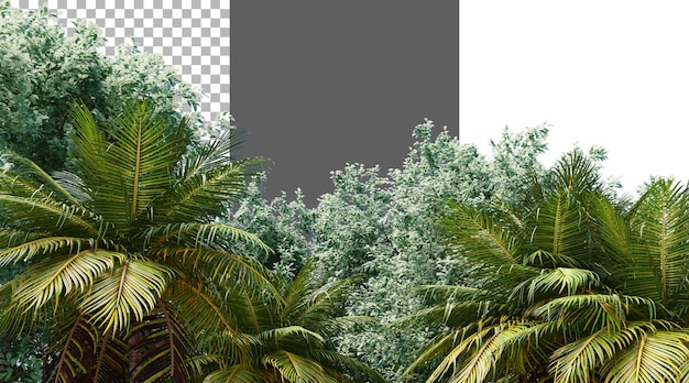 Baumblatt auf durchsichtigem Hintergrund PNG 3D-Rendering