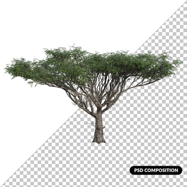 Baumillustration isolierte 3D-Darstellung