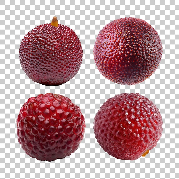 PSD bayberry vermelho isolado em fundo transparente png