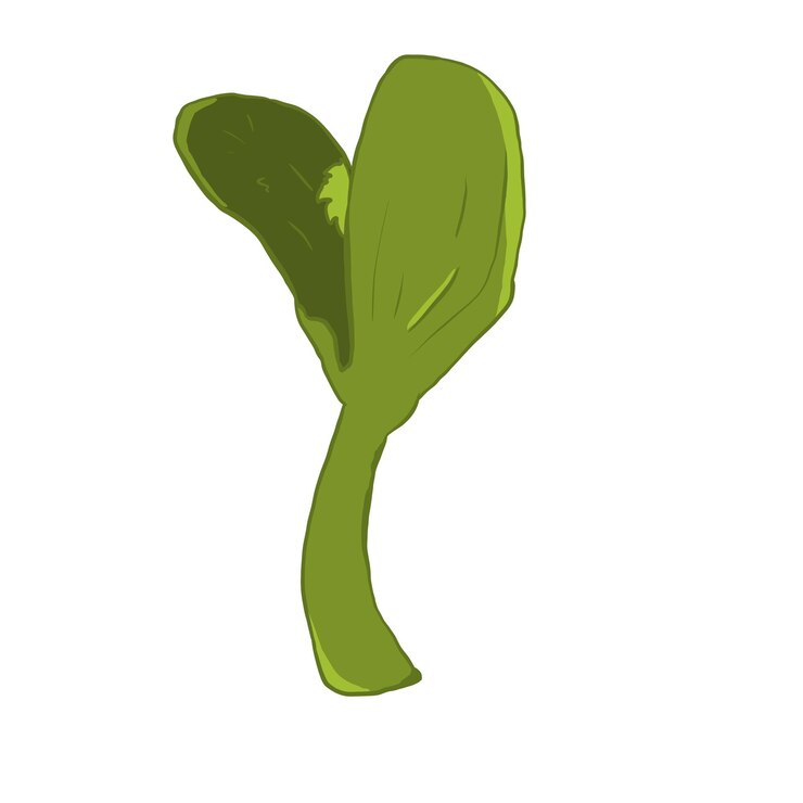 PSD bean plant sprout flat style illustration