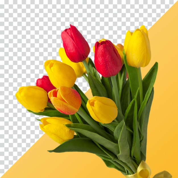 Un beau bouquet de tulipes