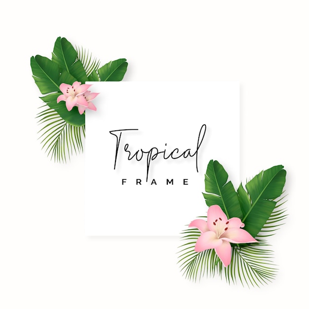 PSD beau cadre naturel avec des feuilles tropicales