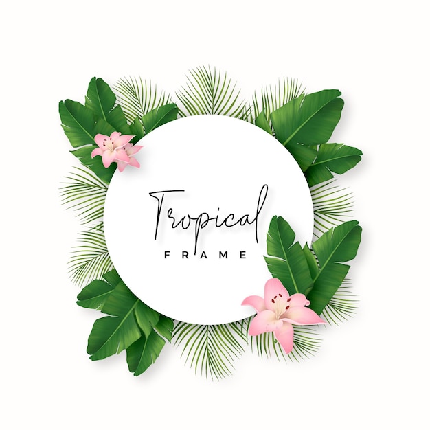 Beau cadre naturel avec des feuilles tropicales