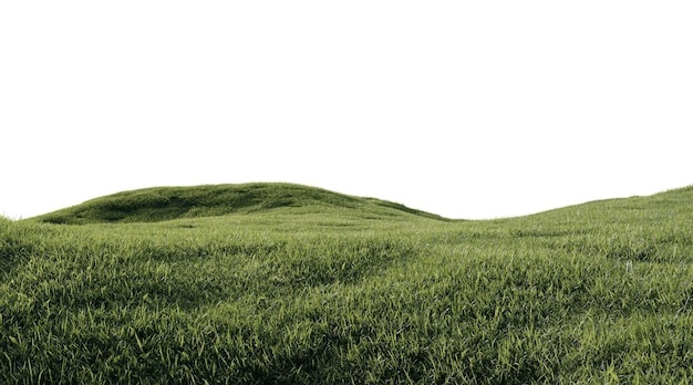 PSD un beau champ vert avec des fleurs et de l'herbe