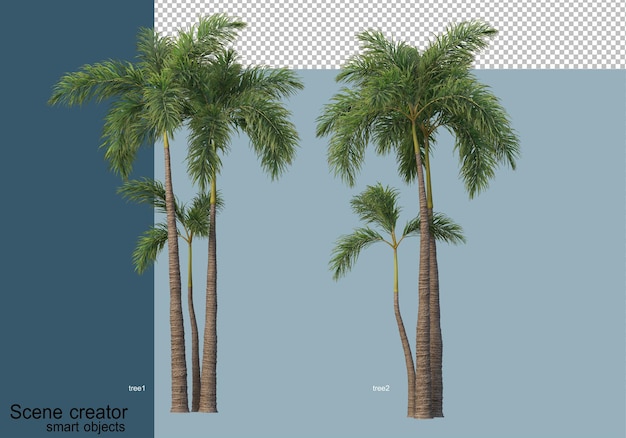 Beau rendu 3D d'arbres isolés
