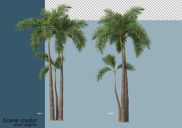 Beau Rendu 3d D'arbres Isolés