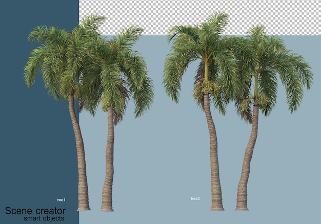 Beau Rendu 3d D'arbres Isolés