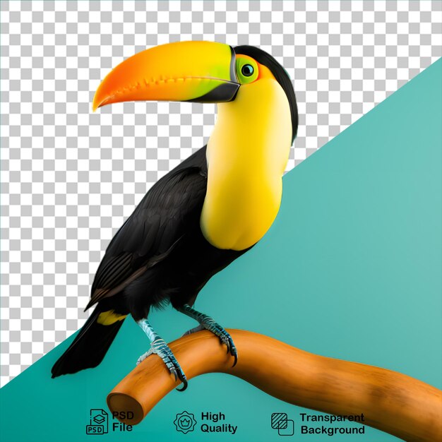 PSD beau toucan d'oiseau isolé sur fond transparent inclure un fichier png