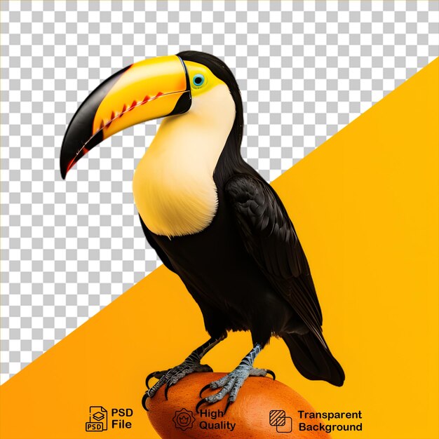 PSD beau toucan d'oiseau isolé sur fond transparent inclure un fichier png