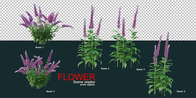 PSD beaucoup de sortes de fleurs colorées