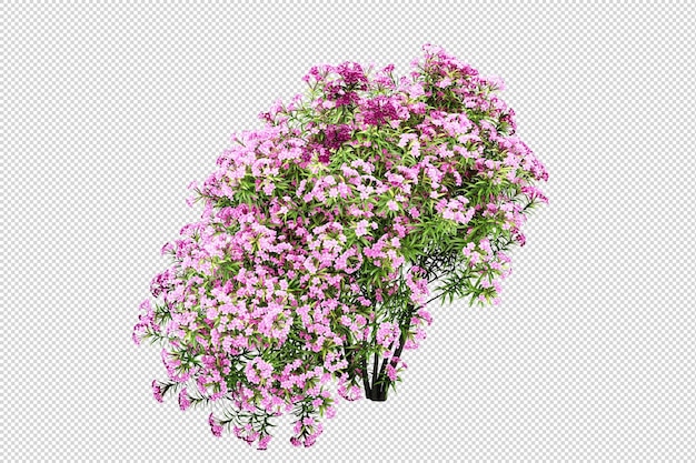 PSD beaucoup de sortes de fleurs colorées