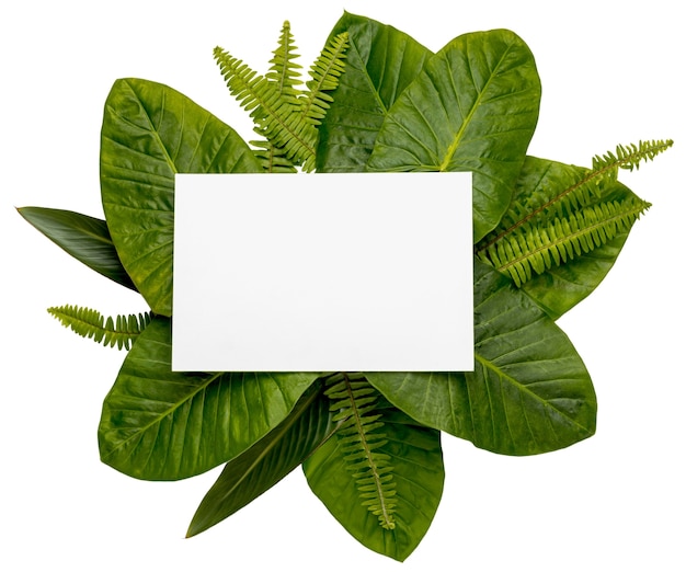 Beautiful Leaves Frame
