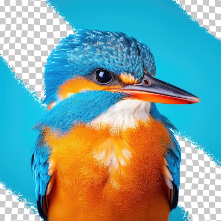 PSD beautiful little blue birds captivated animal transparent background