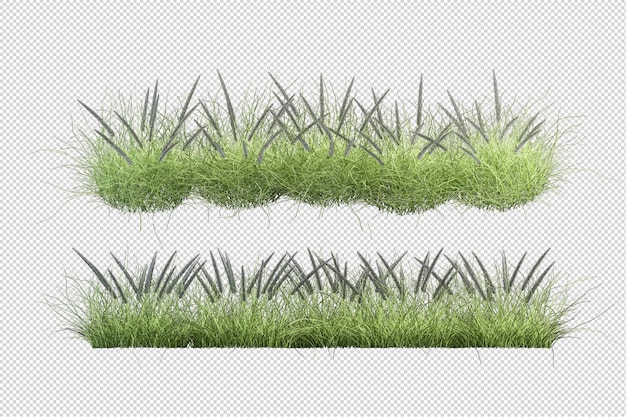 beautiful various kinds of flowers in 3d rendering isolated