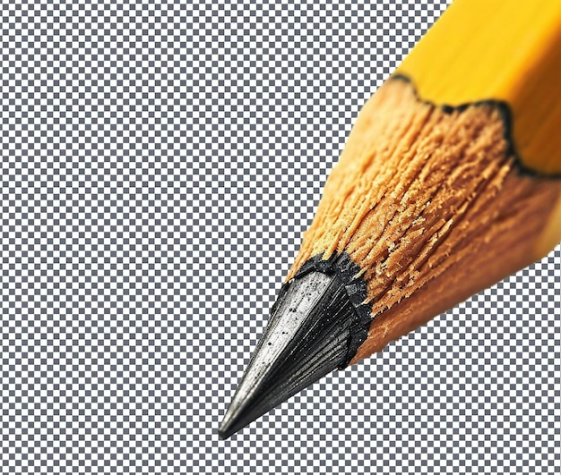 Beaux crayons vivants isolés sur un fond transparent