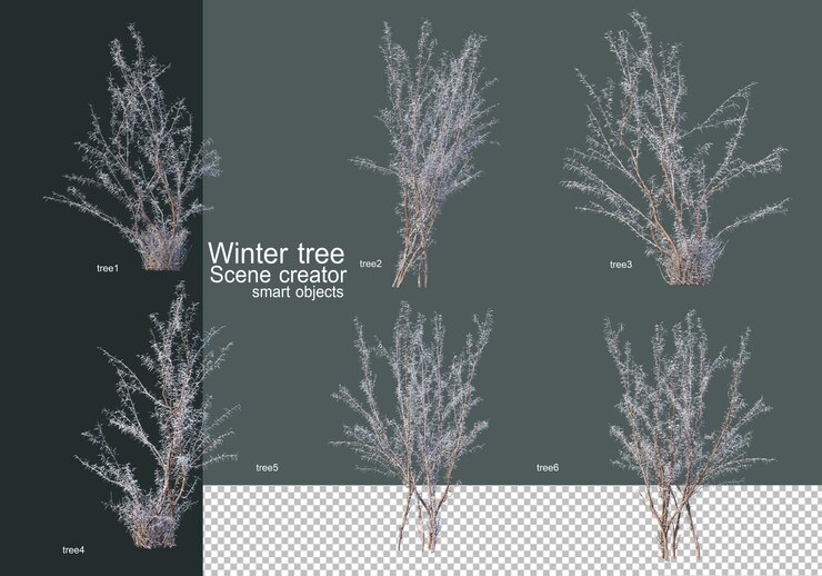 Beaux divers arbres d'hiver isolés