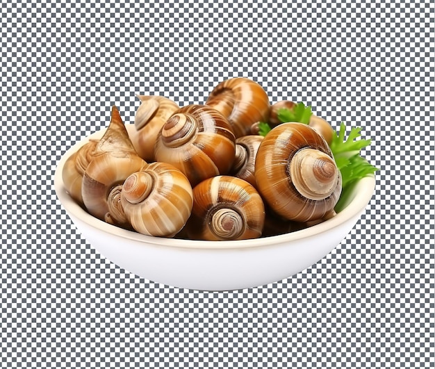 PSD de beaux petits escargots de mer isolés sur un fond transparent