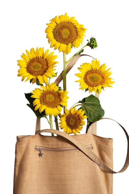 De beaux tournesols isolés dans un sac