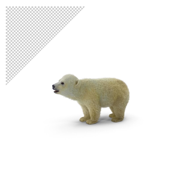 PSD bebê urso polar png