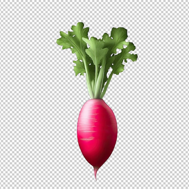 Beetroots in High Definition Nature's Bounty