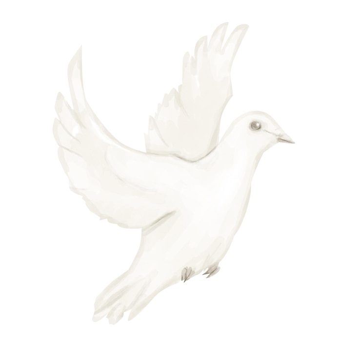 PSD beige dove in flight illustration acquerello digitale per stampa e web