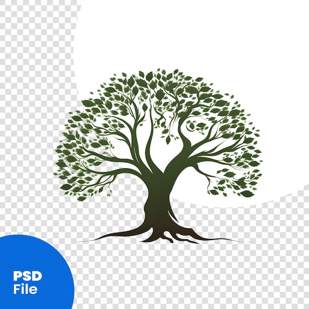PSD bel olivier isolé sur fond blanc modèle psd d'illustration vectorielle