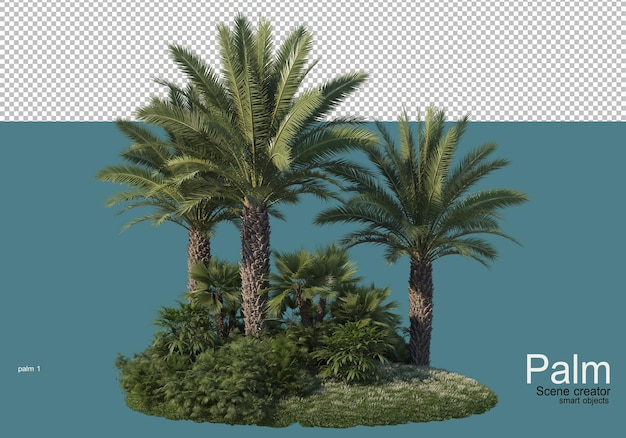 Bela renderização de plantação de palmeira pequena