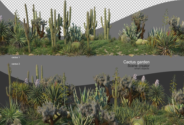 Bela variedade de jardim de cactos
