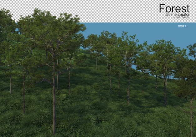 Bela variedade de layouts de floresta