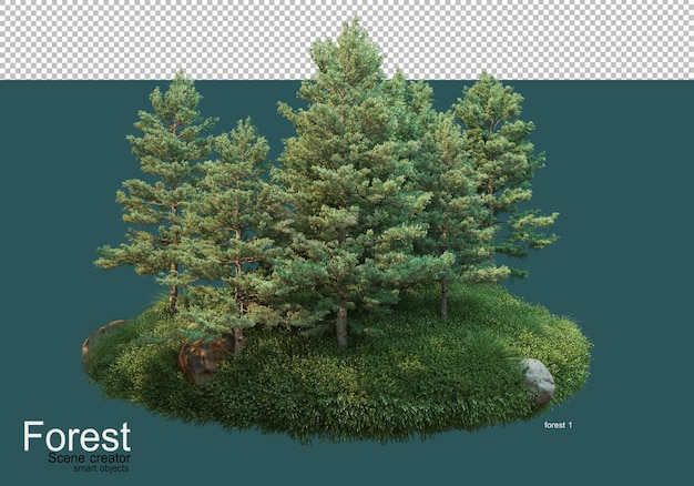 Bela variedade de layouts de floresta