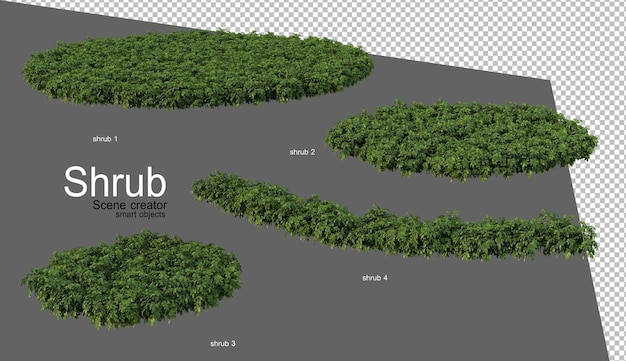 Bela variedade de renderização de arbustos