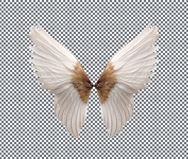 Belas asas de fada borboleta isoladas fundo transparente