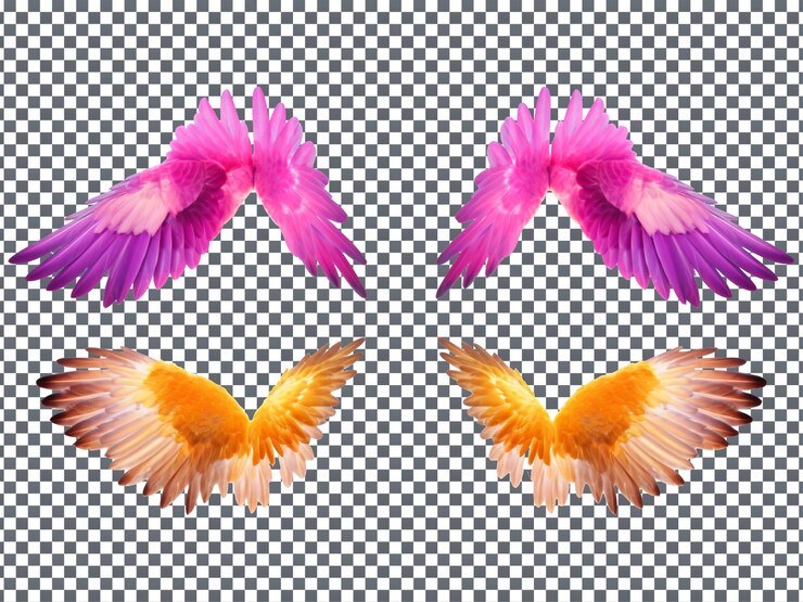 PSD belas asas multicoloridas isoladas com fundo transparente