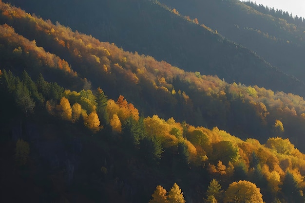 PSD belas paisagens de montanhas e florestas no outono